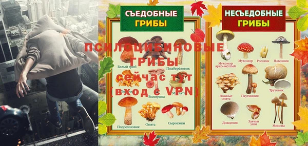 крисы Киреевск