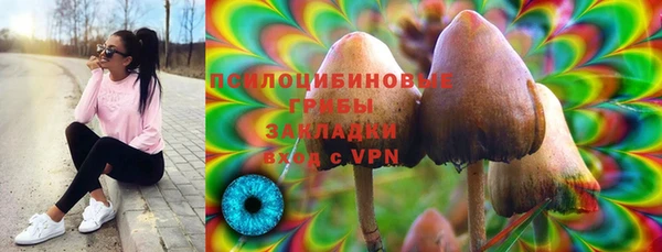 крисы Киреевск